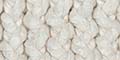 Cream Thumbnail Image