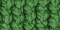 Green Thumbnail Image