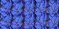 Purple Thumbnail Image